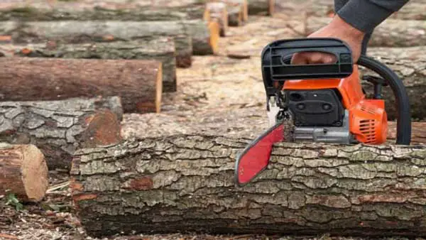 Best Chainsaws For Cutting Firewood