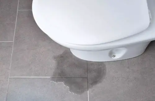 leaks toilet  flange pipe